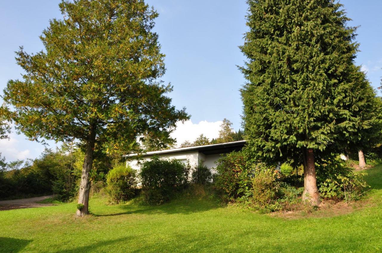 Feriendorf Am Hundsrueck Floh Luaran gambar